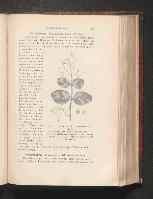 Vorschaubild von [Plantepatologi]