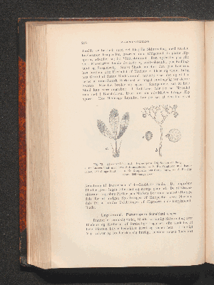 Vorschaubild von [Plantepatologi]