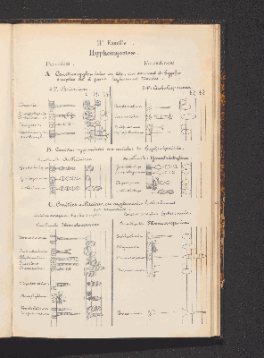 Vorschaubild von [Comprenant les Sphæropsideæ, Melanconieæ, Hyphomycètes]