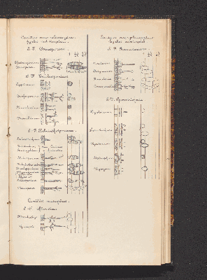 Vorschaubild von [Comprenant les Sphæropsideæ, Melanconieæ, Hyphomycètes]