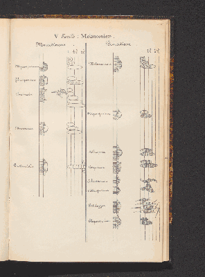 Vorschaubild von [Comprenant les Sphæropsideæ, Melanconieæ, Hyphomycètes]