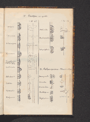 Vorschaubild von [Comprenant les Sphæropsideæ, Melanconieæ, Hyphomycètes]