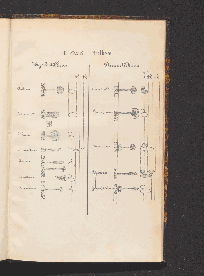 Vorschaubild von [Comprenant les Sphæropsideæ, Melanconieæ, Hyphomycètes]