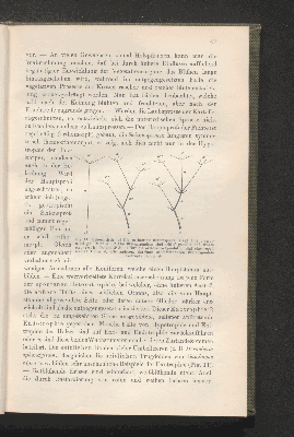 Vorschaubild von [Biologie der Pflanzen]