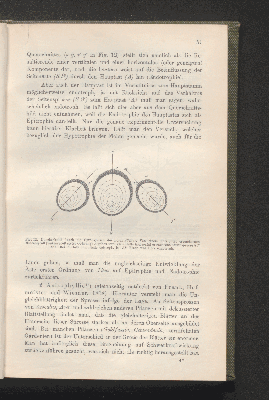 Vorschaubild von [Biologie der Pflanzen]