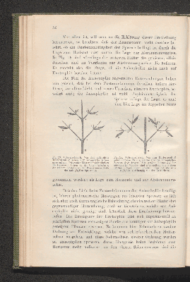 Vorschaubild von [Biologie der Pflanzen]