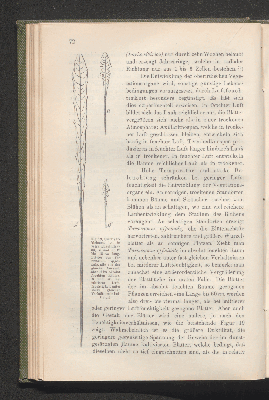 Vorschaubild von [Biologie der Pflanzen]