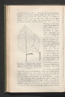 Vorschaubild von [Biologie der Pflanzen]