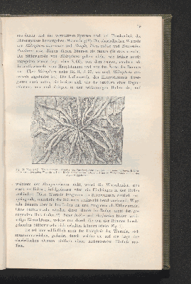 Vorschaubild von [Biologie der Pflanzen]