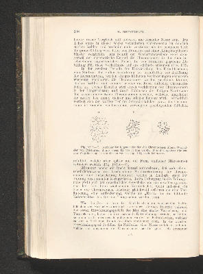 Vorschaubild von [Die Grundlagen der mikroskopischen Anatomie, die Kerne, die Centren und die Granulalehre]