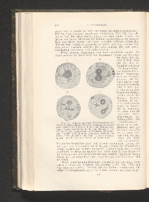 Vorschaubild von [Die Grundlagen der mikroskopischen Anatomie, die Kerne, die Centren und die Granulalehre]