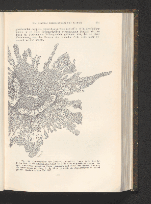 Vorschaubild von [Die Grundlagen der mikroskopischen Anatomie, die Kerne, die Centren und die Granulalehre]