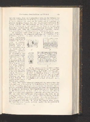 Vorschaubild von [Die Grundlagen der mikroskopischen Anatomie, die Kerne, die Centren und die Granulalehre]