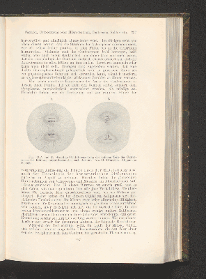 Vorschaubild von [Die Grundlagen der mikroskopischen Anatomie, die Kerne, die Centren und die Granulalehre]