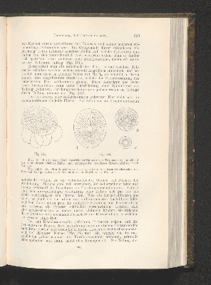 Vorschaubild von [Die Grundlagen der mikroskopischen Anatomie, die Kerne, die Centren und die Granulalehre]