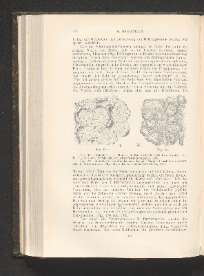 Vorschaubild von [Die Grundlagen der mikroskopischen Anatomie, die Kerne, die Centren und die Granulalehre]