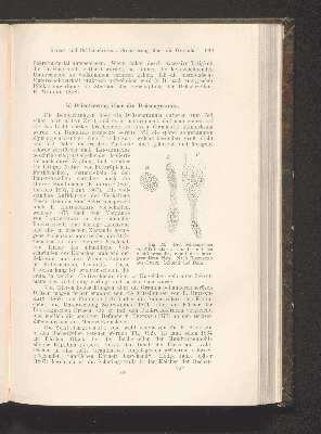 Vorschaubild von [Die Grundlagen der mikroskopischen Anatomie, die Kerne, die Centren und die Granulalehre]