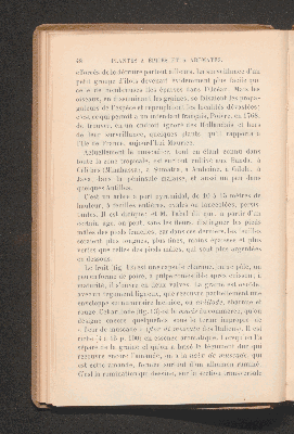 Vorschaubild von [Plantes à condiments et plantes médicinales]