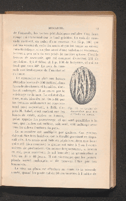 Vorschaubild von [Plantes à condiments et plantes médicinales]