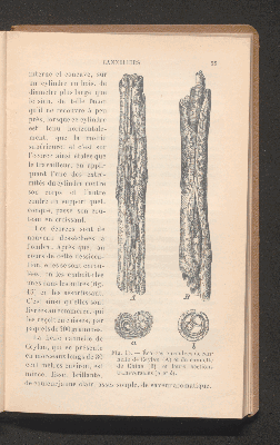 Vorschaubild von [Plantes à condiments et plantes médicinales]