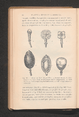 Vorschaubild von [Plantes à condiments et plantes médicinales]