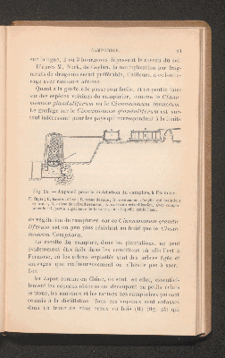 Vorschaubild von [Plantes à condiments et plantes médicinales]