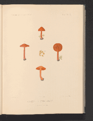 Vorschaubild von [Planches 1 à 193]