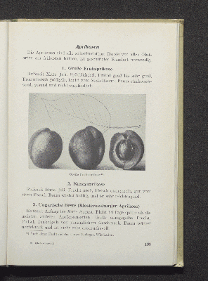 Vorschaubild Seite 193