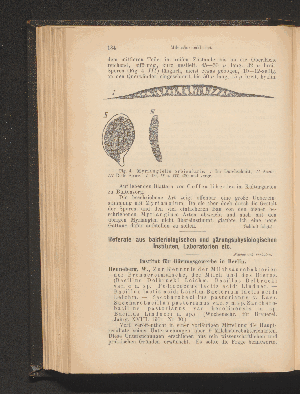 Vorschaubild von [[Zentralblatt für Bakteriologie, Parasitenkunde und Infektionskrankheiten]]