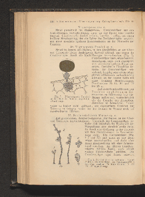 Vorschaubild von [[Zentralblatt für Bakteriologie, Parasitenkunde und Infektionskrankheiten]]