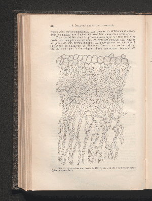 Vorschaubild von [[Zentralblatt für Bakteriologie, Parasitenkunde und Infektionskrankheiten]]