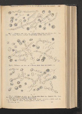 Vorschaubild von [[Zentralblatt für Bakteriologie, Parasitenkunde und Infektionskrankheiten]]