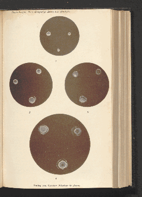 Vorschaubild von [[Zentralblatt für Bakteriologie, Parasitenkunde und Infektionskrankheiten]]