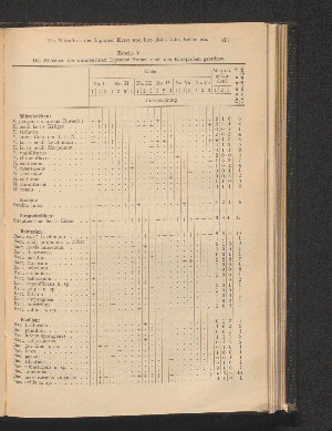 Vorschaubild von Tabelle V. Die Mikroben der untersuchten Liptauer Proben nach den Käseproben geordnet.