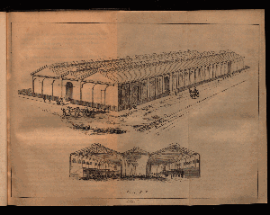 Vorschaubild von [Report of the sanitary condition of Birkenhead in the county of Chester...with plan and engineers report of the intended Birkenhead dock]