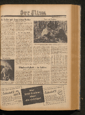 Vorschaubild Seite  - 