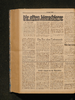 Vorschaubild Seite  - 