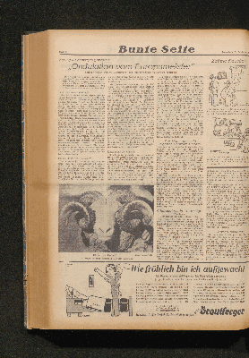 Vorschaubild Seite  - 