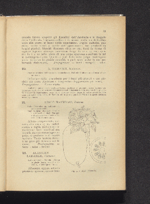 Vorschaubild von [Frutti tropicali e semitropicali (esclusi gli agrumi)]