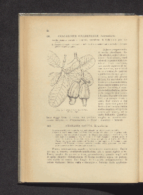 Vorschaubild von [Frutti tropicali e semitropicali (esclusi gli agrumi)]