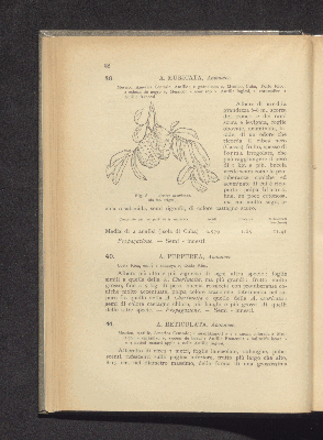 Vorschaubild von [Frutti tropicali e semitropicali (esclusi gli agrumi)]