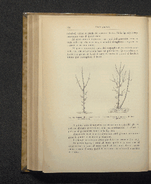 Vorschaubild Seite 180