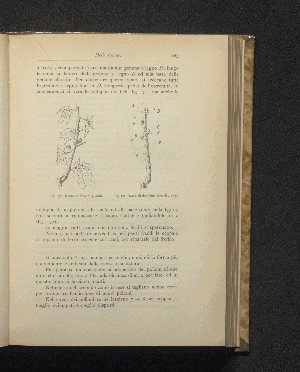 Vorschaubild Seite 183