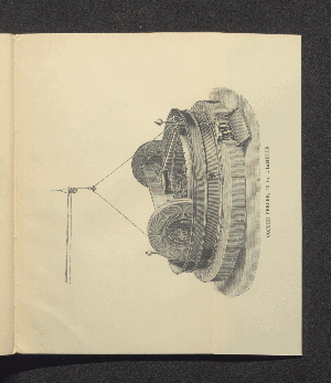 Vorschaubild von Coffee peeler, 10 Fr. Diameter.