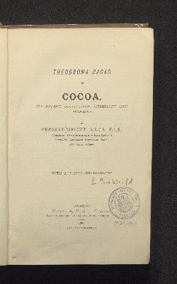 Vorschaubild von Theobroma cacao or cocoa