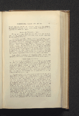 Vorschaubild von [Theobroma cacao or cocoa]