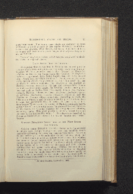 Vorschaubild von [Theobroma cacao or cocoa]