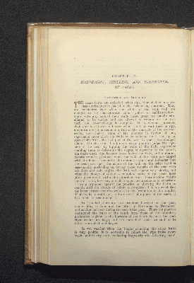 Vorschaubild von [Theobroma cacao or cocoa]