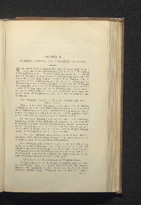 Vorschaubild von [Theobroma cacao or cocoa]