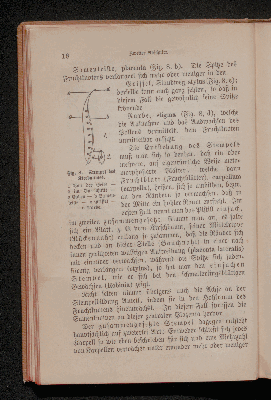 Vorschaubild Seite 18